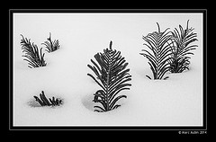 13049407344_cb380ea246_m